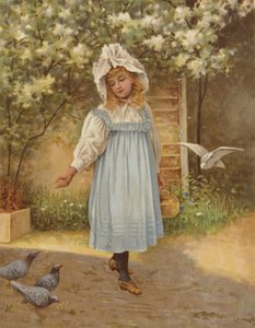Innocence - English School